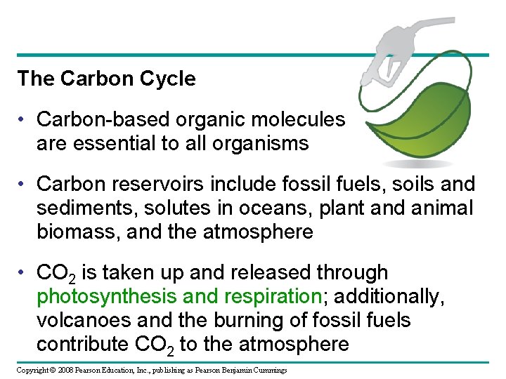 The Carbon Cycle • Carbon-based organic molecules are essential to all organisms • Carbon