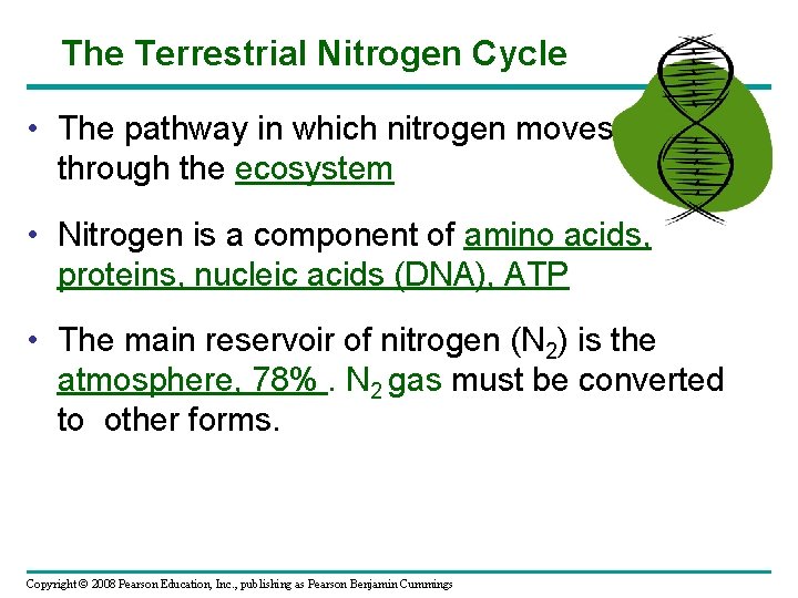 The Terrestrial Nitrogen Cycle • The pathway in which nitrogen moves through the ecosystem