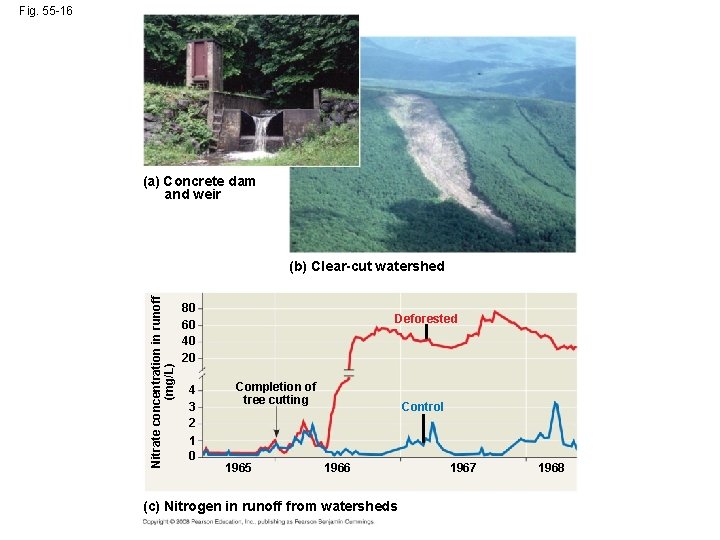 Fig. 55 -16 (a) Concrete dam and weir Nitrate concentration in runoff (mg/L) (b)