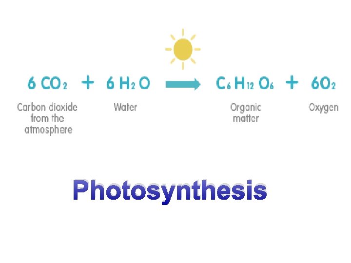 Photosynthesis 