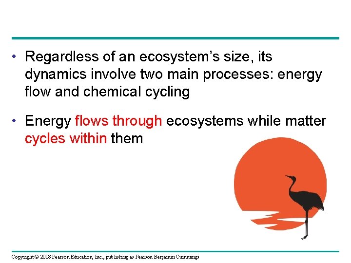  • Regardless of an ecosystem’s size, its dynamics involve two main processes: energy