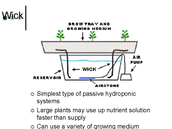 Wick ¢ ¢ ¢ Simplest type of passive hydroponic systems Large plants may use