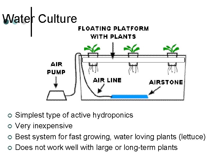 Water Culture ¢ ¢ Simplest type of active hydroponics Very inexpensive Best system for