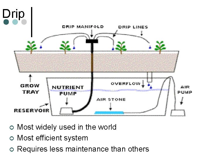 Drip ¢ ¢ ¢ Most widely used in the world Most efficient system Requires