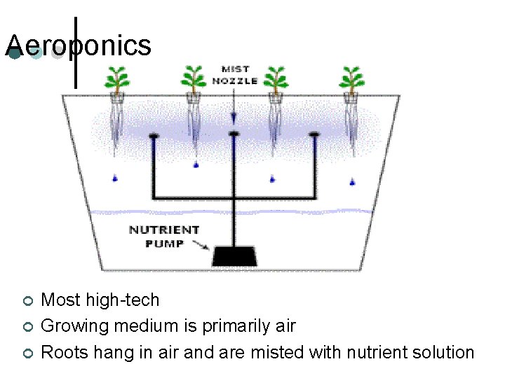 Aeroponics ¢ ¢ ¢ Most high-tech Growing medium is primarily air Roots hang in