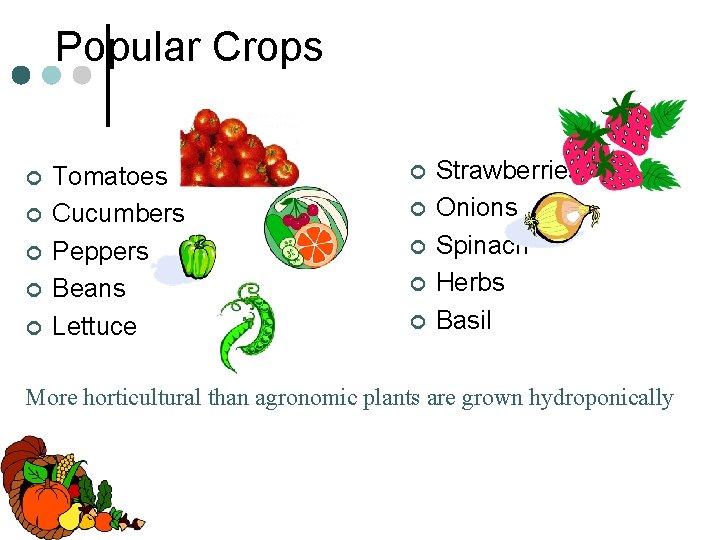 Popular Crops ¢ ¢ ¢ Tomatoes Cucumbers Peppers Beans Lettuce ¢ ¢ ¢ Strawberries