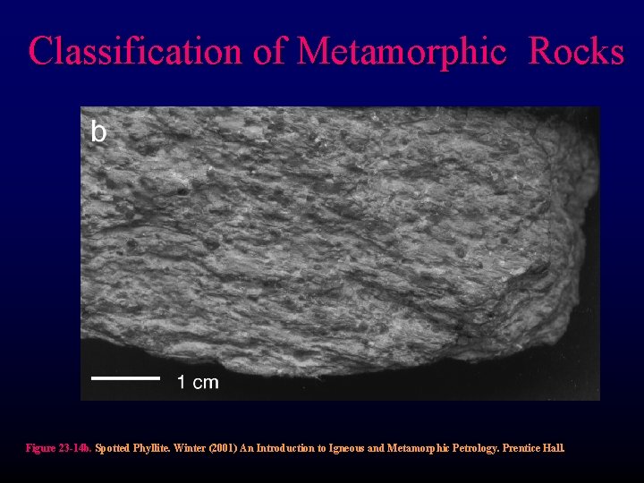 Classification of Metamorphic Rocks Figure 23 -14 b. Spotted Phyllite. Winter (2001) An Introduction