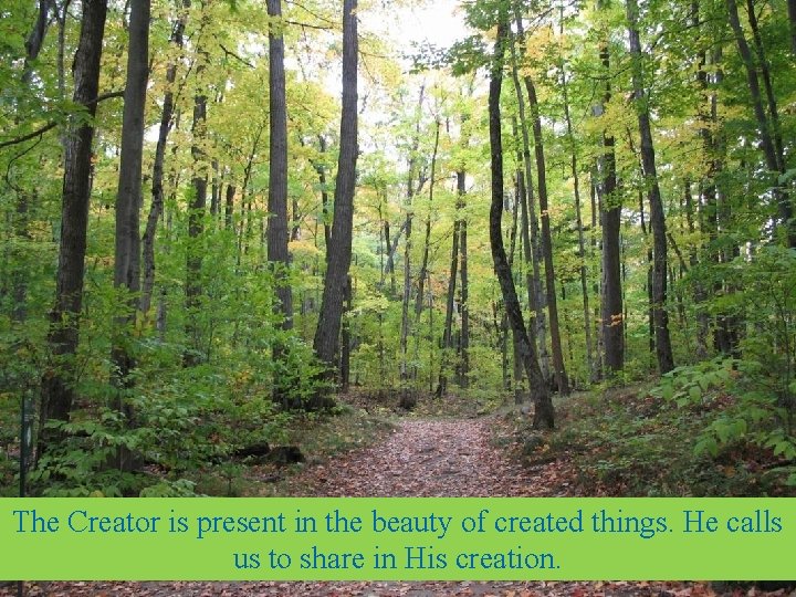 The Creator is present in the beauty of created things. He calls us to