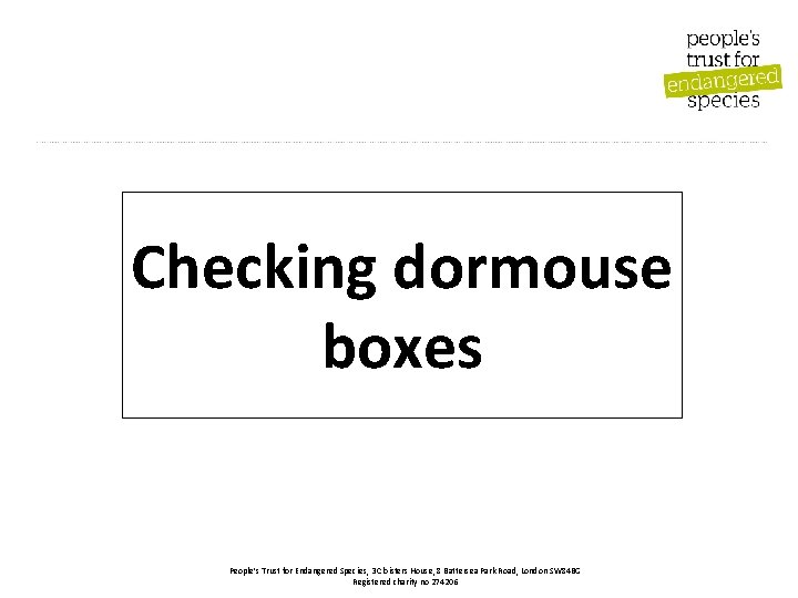 Checking dormouse boxes People’s Trust for Endangered Species, 3 Cloisters House, 8 Battersea Park