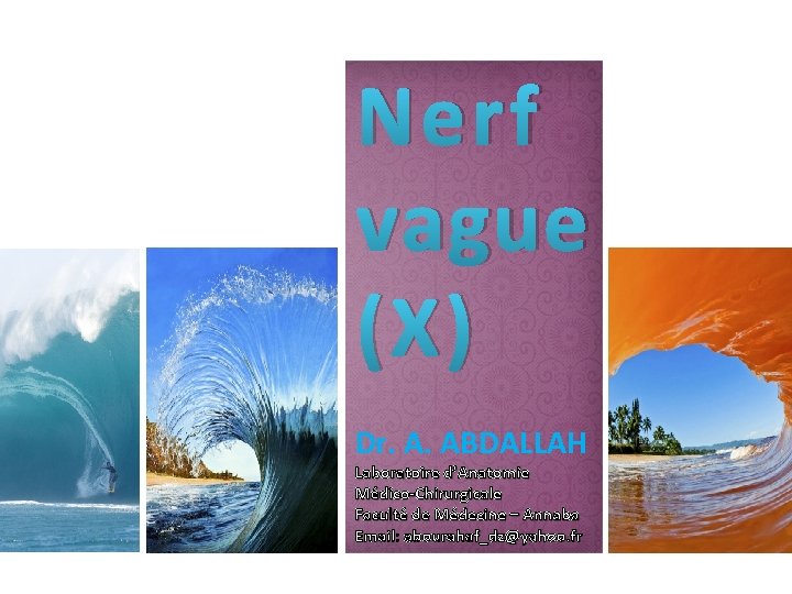 Nerf vague (X) Dr. A. ABDALLAH Laboratoire d’Anatomie Médico-Chirurgicale Faculté de Médecine – Annaba