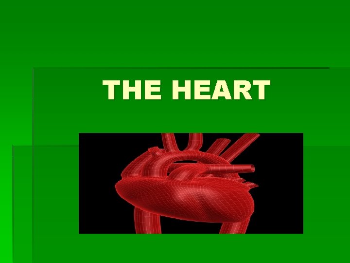 THE HEART 