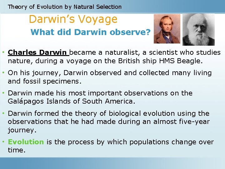 Theory of Evolution by Natural Selection Darwin’s Voyage What did Darwin observe? • Charles