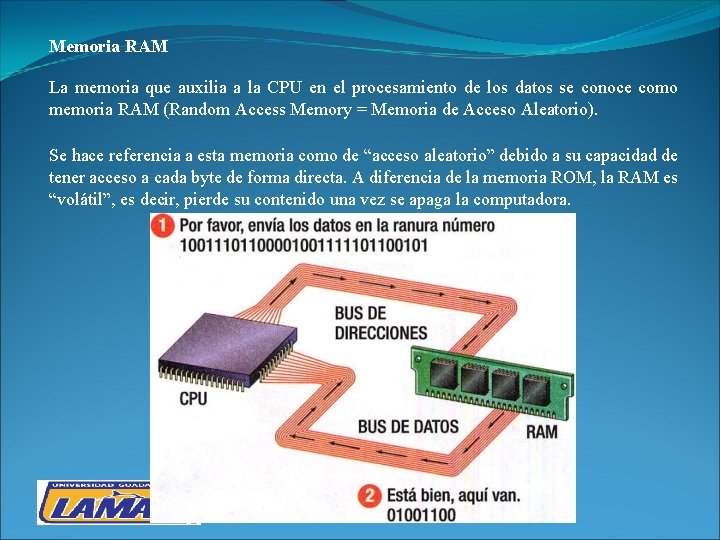 Memoria RAM La memoria que auxilia a la CPU en el procesamiento de los