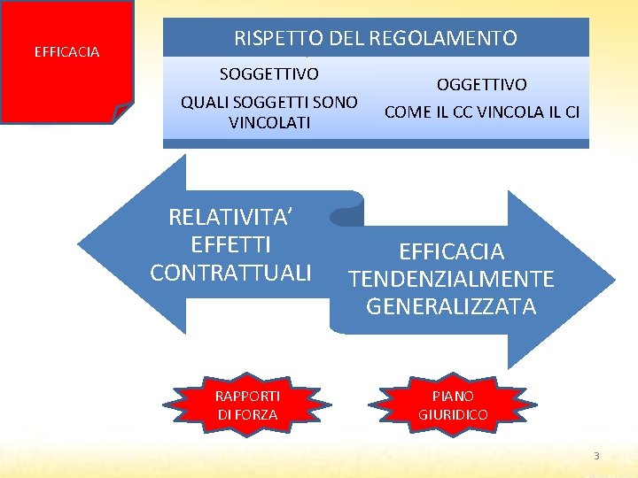 EFFICACIA RISPETTO DEL REGOLAMENTO SOGGETTIVO QUALI SOGGETTI SONO VINCOLATI RELATIVITA’ EFFETTI CONTRATTUALI RAPPORTI DI