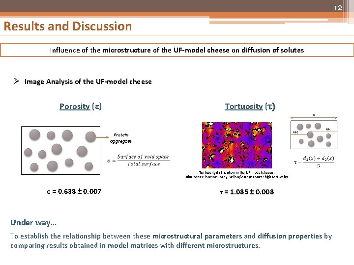 12 Results and Discussion Influence of the microstructure of the UF-model cheese on diffusion