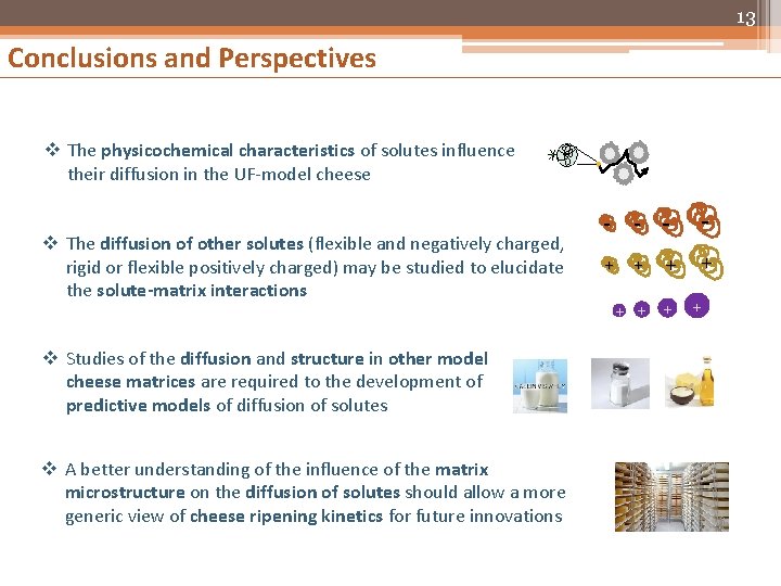 13 Conclusions and Perspectives v The physicochemical characteristics of solutes influence their diffusion in