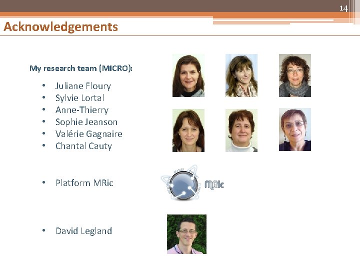 14 Acknowledgements My research team (MICRO): • • • Juliane Floury Sylvie Lortal Anne-Thierry