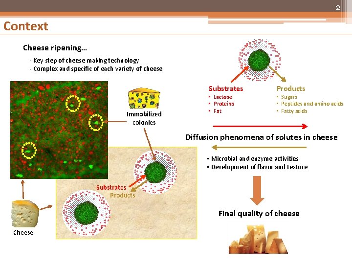 2 Context Cheese ripening… - Key step of cheese making technology - Complex and