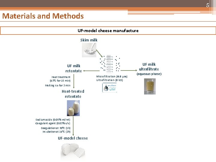 5 Materials and Methods UF-model cheese manufacture Skim milk UF milk ultrafiltrate UF milk