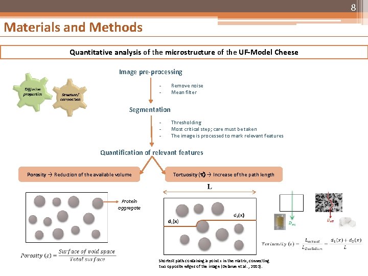 8 Materials and Methods Quantitative analysis of the microstructure of the UF-Model Cheese Image