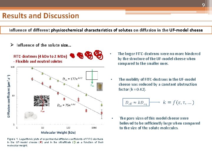 9 Results and Discussion Influence of different physicochemical characteristics of solutes on diffusion in