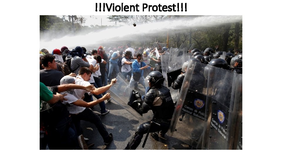 !!!Violent Protest!!! 