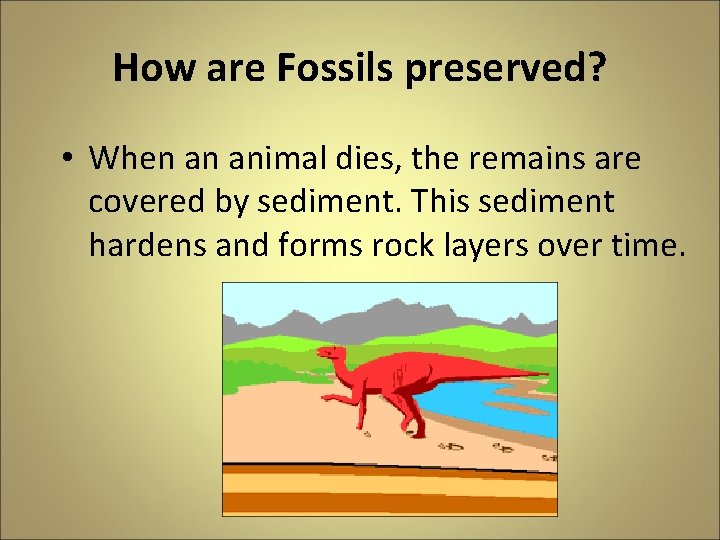 How are Fossils preserved? • When an animal dies, the remains are covered by