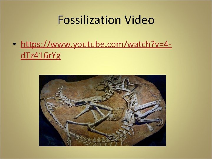 Fossilization Video • https: //www. youtube. com/watch? v=4 d. Tz 416 r. Yg 