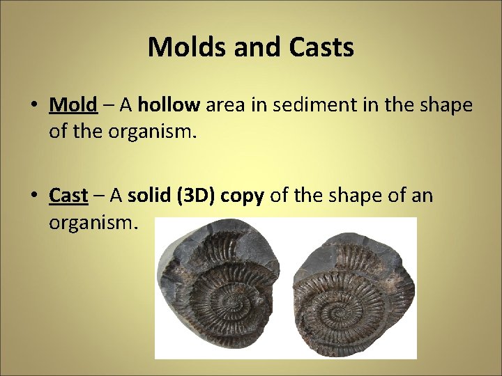 Molds and Casts • Mold – A hollow area in sediment in the shape