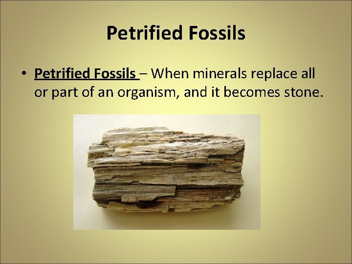 Petrified Fossils • Petrified Fossils – When minerals replace all or part of an