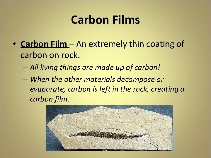 Carbon Films • Carbon Film – An extremely thin coating of carbon on rock.
