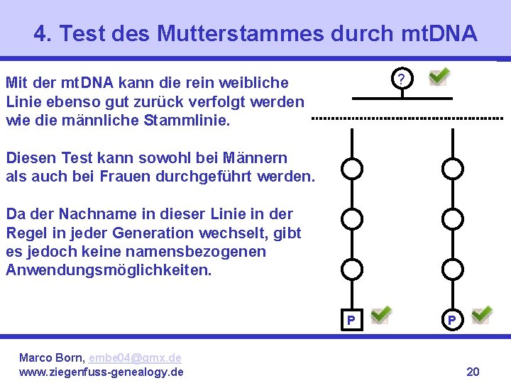 4. Test des Mutterstammes durch mt. DNA ? Mit der mt. DNA kann die