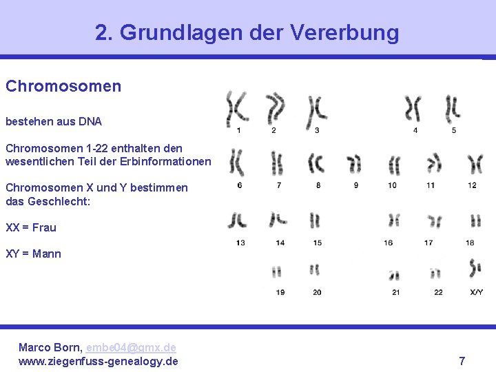2. Grundlagen der Vererbung Chromosomen bestehen aus DNA Chromosomen 1 -22 enthalten den wesentlichen