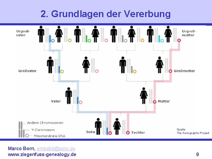 2. Grundlagen der Vererbung Quelle: The Genographic Project Marco Born, embe 04@gmx. de www.