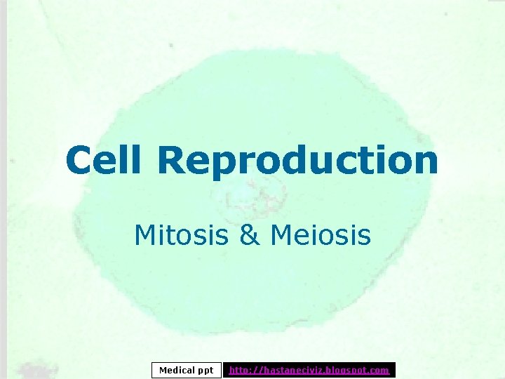 Cell Reproduction Mitosis & Meiosis Medical ppt http: //hastaneciyiz. blogspot. com 