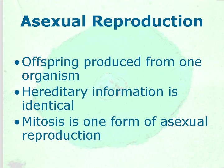Asexual Reproduction • Offspring produced from one organism • Hereditary information is identical • Asexual Reproduction • Offspring produced from one organism • Hereditary information is identical •