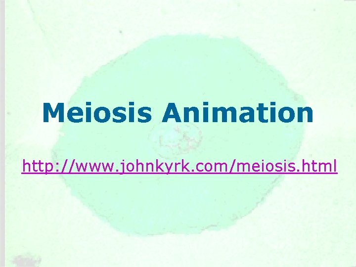 Meiosis Animation http: //www. johnkyrk. com/meiosis. html 