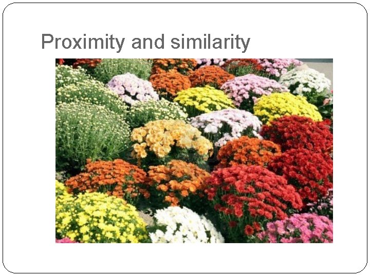 Proximity and similarity 