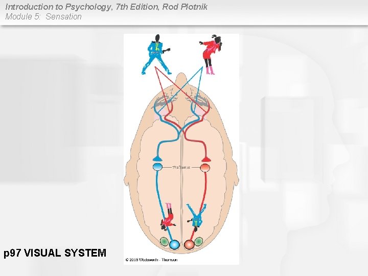 Rod Plotnik Introduction to Psychology 7 th Edition Rod Plotnik