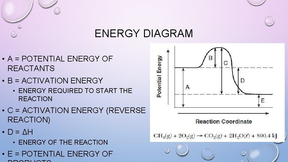 ENERGY DIAGRAM • A = POTENTIAL ENERGY OF REACTANTS • B = ACTIVATION ENERGY