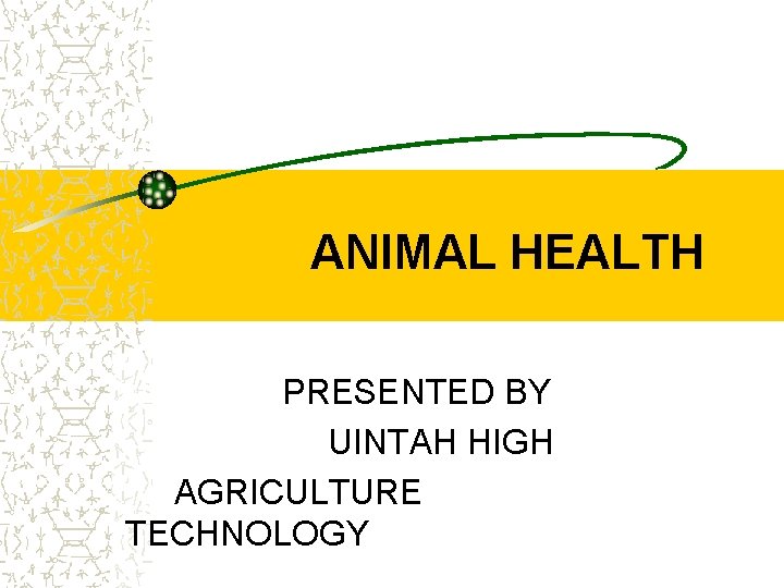 ANIMAL HEALTH PRESENTED BY UINTAH HIGH AGRICULTURE TECHNOLOGY 