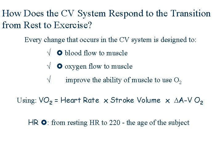 How Does the CV System Respond to the Transition from Rest to Exercise? Every