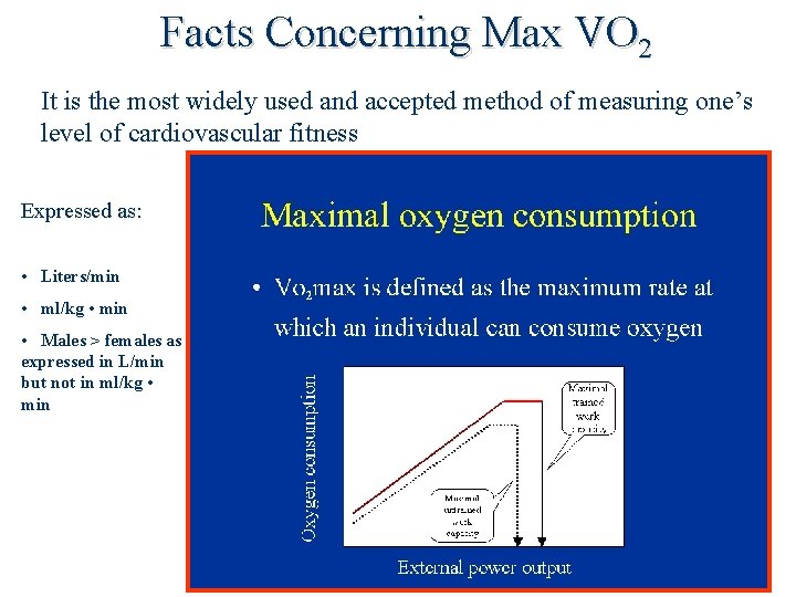 Facts Concerning Max VO 2 It is the most widely used and accepted method