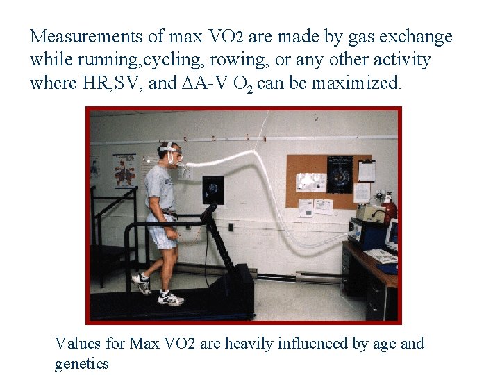 Measurements of max VO 2 are made by gas exchange while running, cycling, rowing,