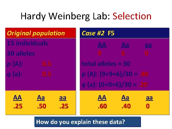 Hardy Weinberg Lab: Selection Original population 15 individuals 30 alleles p (A): 0. 5