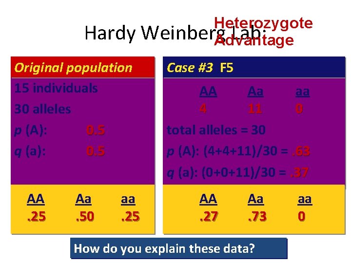 Hardy Original population 15 individuals 30 alleles p (A): 0. 5 q (a): 0.