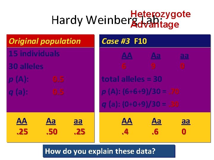 Hardy Original population 15 individuals 30 alleles p (A): 0. 5 q (a): 0.