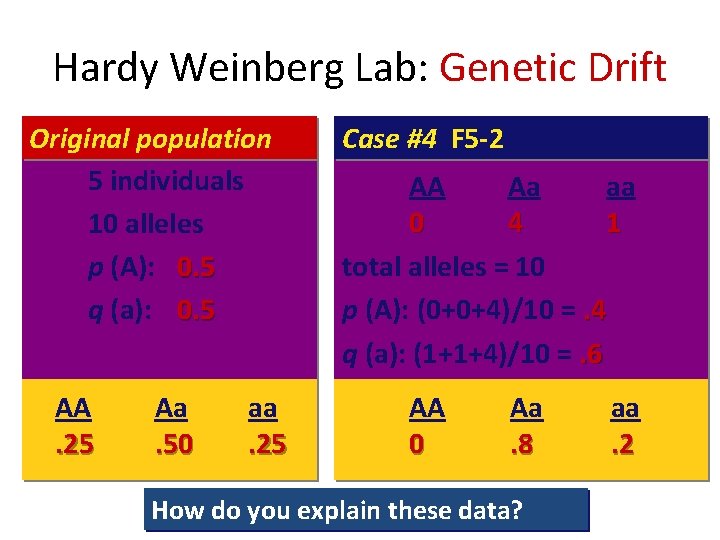 Hardy Weinberg Lab: Genetic Drift Original population 5 individuals 10 alleles p (A): 0.