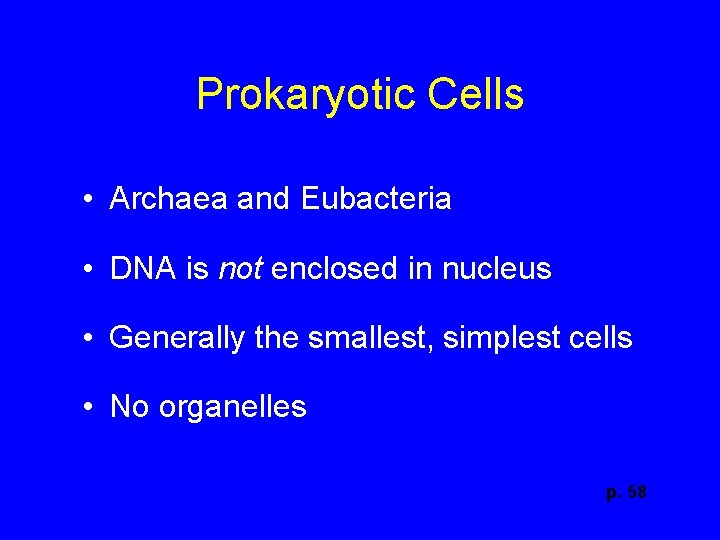 Prokaryotic Cells • Archaea and Eubacteria • DNA is not enclosed in nucleus •