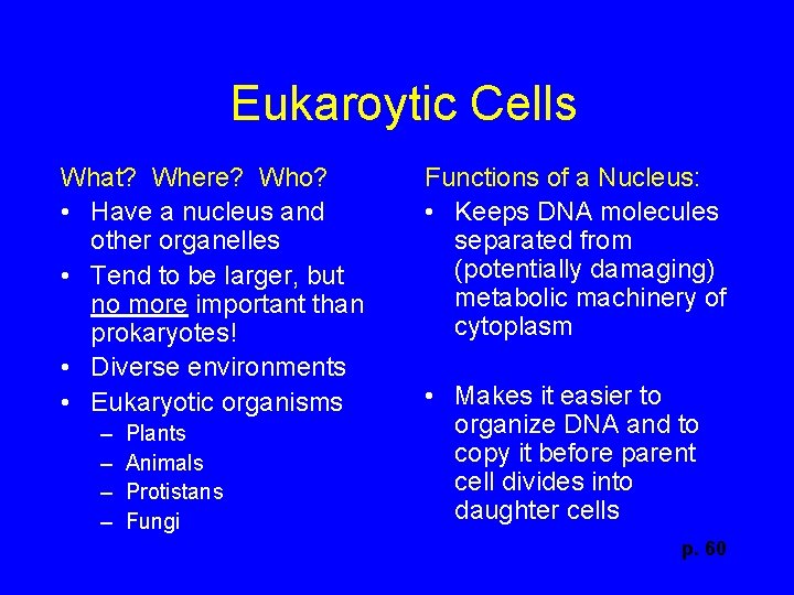 Eukaroytic Cells What? Where? Who? • Have a nucleus and other organelles • Tend